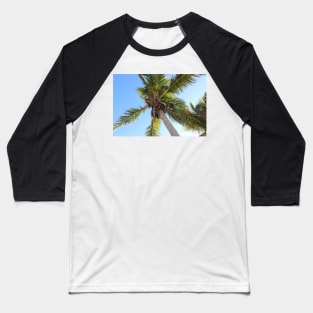 Florida Coconut Palm Baseball T-Shirt